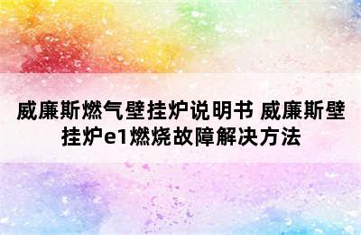 威廉斯燃气壁挂炉说明书 威廉斯壁挂炉e1燃烧故障解决方法